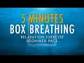5 Minutes Box Breathing Relaxation Exercise Beginner Pace Anxiety Reduction Pranayama Technique