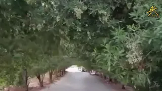 رصيف الغياب  الذاكرة  الجزء الأول أخراج محمود داوود دندنها