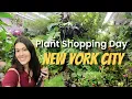 Plant Shopping in New York City Flower District Affordable Houseplants Hidden Gems