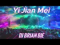 Download Lagu 一剪梅 Yi Jian Mei Remix By Dj Brian Bie