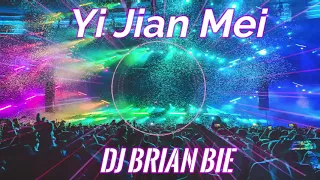  yi jian mei remix by dj brian bie