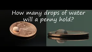 Download How Many Drops Of Water Will A Penny Hold MP3