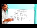 operators in c programming language unary operators in c language