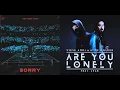 Alan Walker, Steve Aoki, ISÁK, Omar Noir - Are you Sorry (Lonely & Sorry Mashup)