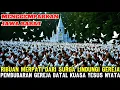 Download Lagu BIKIN HEBOH‼️Massa Hendak Usir Gereja, Tapi Ribuan Burung Merpati dari Langit Lindungi Rumah Tuhan!