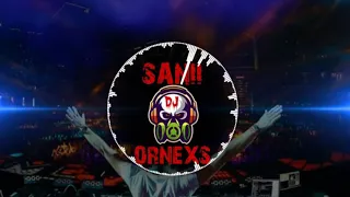 Download Remix Pura Pura Lupa DJ Sanii Ornexs MP3