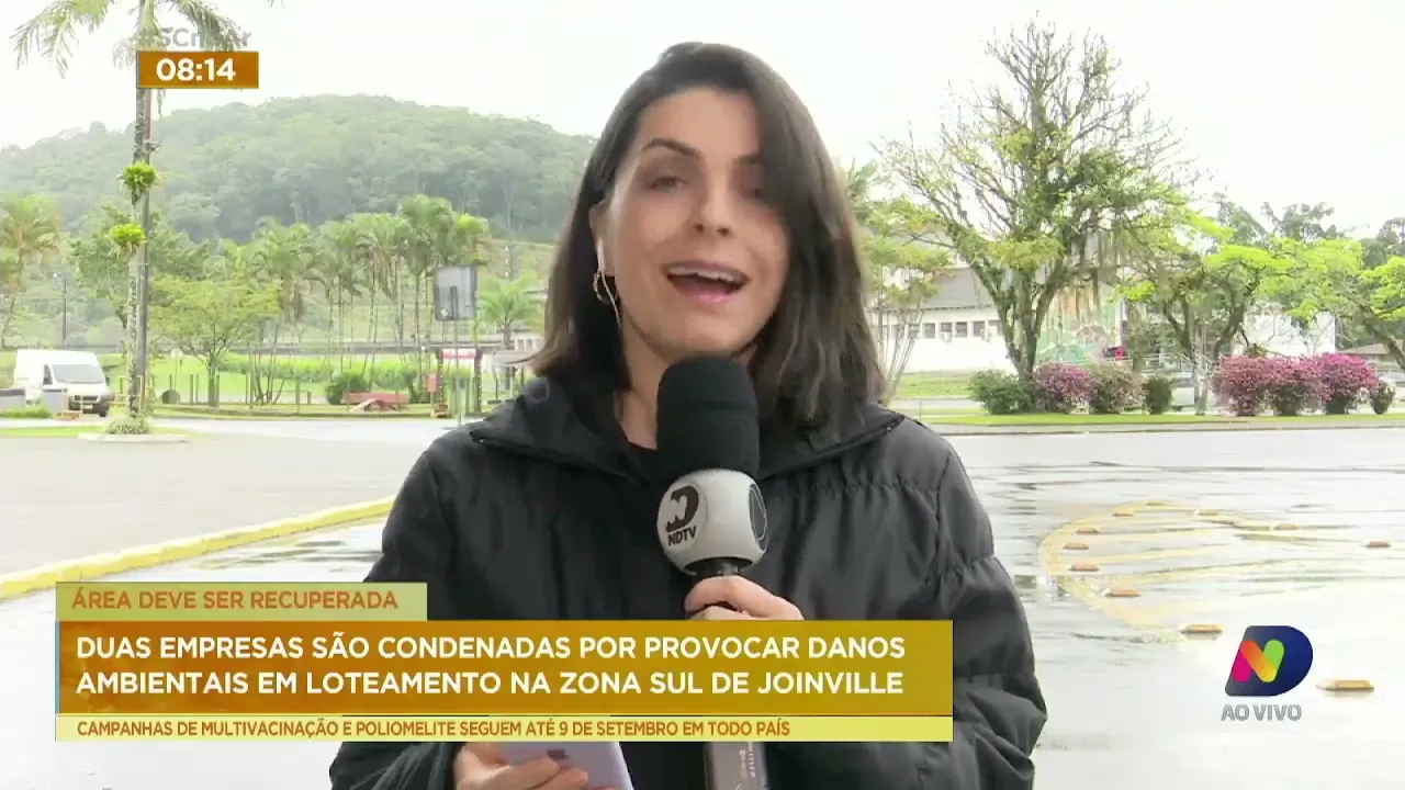 Justiça condena 2 empresas por causar danos ambientais na Zona Sul de Joinville