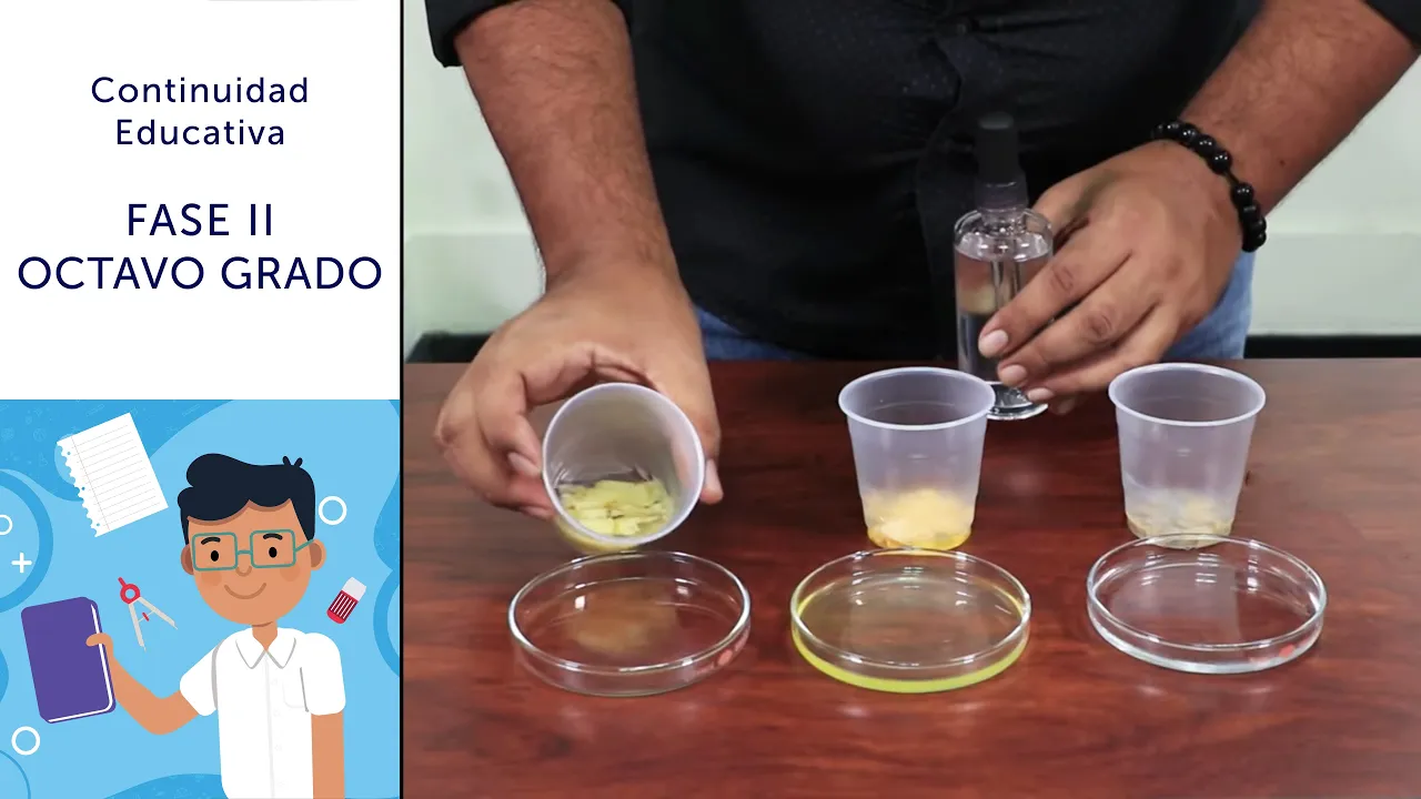 Las Biomoléculas