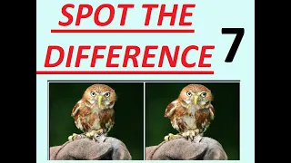 Spot The Difference between two pictures cool math 7