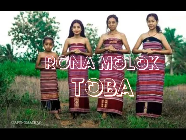 Download MP3 RONA MOLOK TOBA||REFLESAUN KALAN||