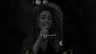 ابراهيم تاتليس لماذا حين اراك لساني يتعقد بدونه   دندنها