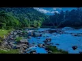 Download Lagu TRIBALS SONGS !! IRULAR !!  ATTPPADI !! AVARAKAI PINCHUEDUTHU POKKILAMMA CHEETY