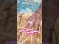Download Lagu Foaie verde și-un dudău....