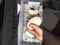 Black pewter sandblast pied x het pied