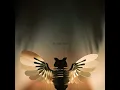 In This Shirt