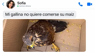 MEMES RAROS