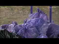 Tacoma launches garbage collection program for homeless camps