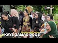 Download Lagu Lagu Sedih Garapan Musik Jalanan Irama Dopang Dengan Suara Syahdu Nia Dirgha Kaye Gamaq Doqe