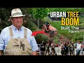 How Urban Tree Planting Fueled a Maryland Nursery Boom MD F H