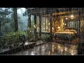 Download Lagu 【3M】 Cozy Bedroom in the Rainy forest ☔️| Let window open to a deep sleep instantly 😴