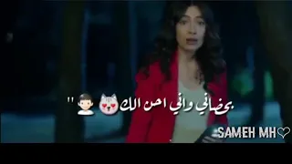 ليلة ورا ليلة سيف نبيل حالات واتس Saif Nabeel 