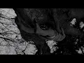 Paul Haslinger  - Valse I (Official Video)