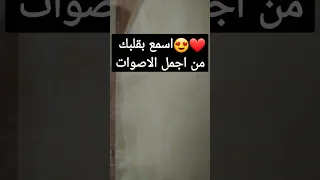 ا سمع بقلبك من اجمل الاصوات 
