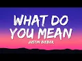 Justin Bieber - What Do You Mean