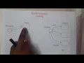 3 18 Synchronization Distributed Object Based Systems