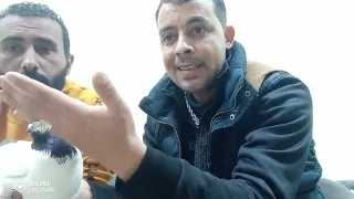 مواصفات الارباش الطائر الجميل  مواصفات الارباش الطائر الجميل
