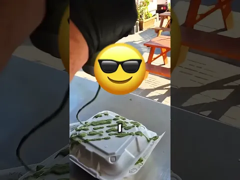 WOULD YOU EAT IN THIS RESTAURANT? 🌮😭