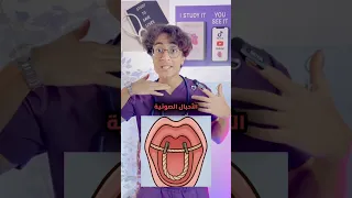 لما الصوت يتنبح   الأحبال الصوتية بتبقا شكلها عامل ازاي                                   دندنها