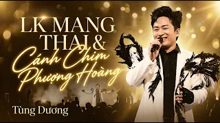 HER CONCERT 2026 – INTRO (MANG THAI / CÁNH CHIM PHƯỢNG HOÀNG) | TÙNG DƯƠNG LIVE