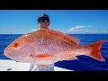 GIANT Red Snapper Grouper Tuna Catch Clean Cook Gulf of Mexico Fishing