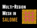 Generate multi-body multi-volume mesh geometries in SALOME with mesh refinement On Demand 14