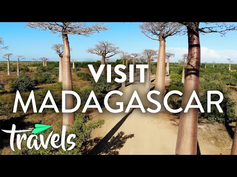 Download MP3 Top 10 Reasons to Visit Madagascar | MojoTravels