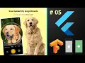 Dog Breed Identification using Deep Learning Flutter Tensorflow Lite Machine Learning Course 2022