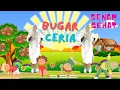 Download Lagu SENAM BUGAR CERIA TERBARU || SENAM ANAK TK PAUD SD || SENAM CERIA