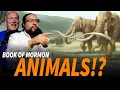 The Mysterious Horses Elephants and Snakes in the Book of Mormon