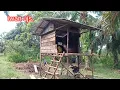 Download Lagu Selesai pasang dinding kiri kanan sudah bisa ditempati pondok kebun.!!