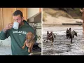 Moments from a busy and productive day at the beach Lee Asher