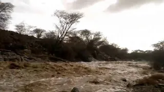 شيلة أبرق الريش ظافر العمري 