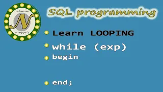SQL Server WHILE loop