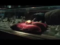 LACRIM - PAS UN ROND (VISUALIZER)