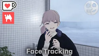 Lapwing - Face Tracking Add on