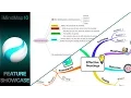 Feature Showcase Software Importers - iMindMap 10