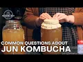Jun Kombucha Questions Answered