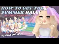 ALL SUMMER HALO 2022 FOUNTAIN ANSWERS Royale High Roblox