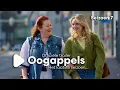 Download Lagu Dit is het slotseizoen Oogappels - TRAILER | BNNVARA | NPO Start