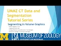UMMZ CT Data Segmentation Tutorial Series - Episode 8